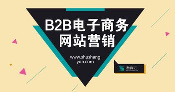 B2B電子商務(wù)網(wǎng)站營銷質(zhì)量提升策略 從流量到轉(zhuǎn)化的系統(tǒng)化經(jīng)營