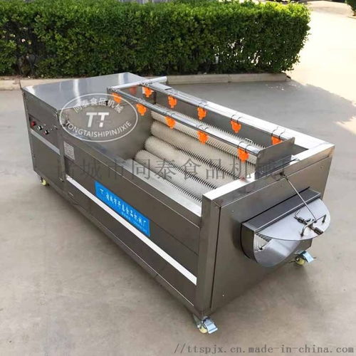 大姜生姜清洗機,大姜清洗脫皮機,生姜清洗脫皮機 ,諸城市同泰食品機械廠