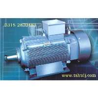 唐山冶金起重電機、變頻電機、輥道電機、渦流電機、高壓電機及低壓大功率電機。(www.tshtdj.com)